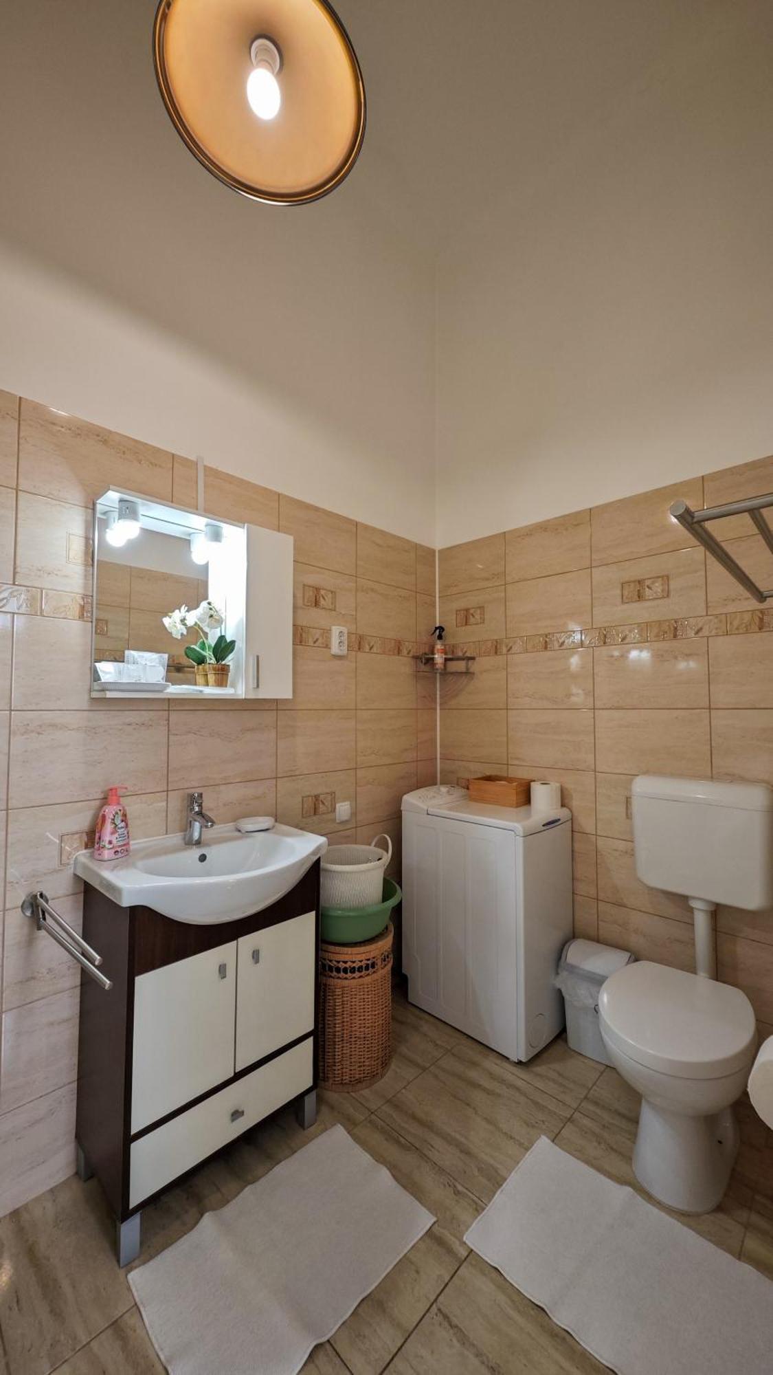 Neuhausz Residenz Ultra-Central Apartment Timisoara Luaran gambar