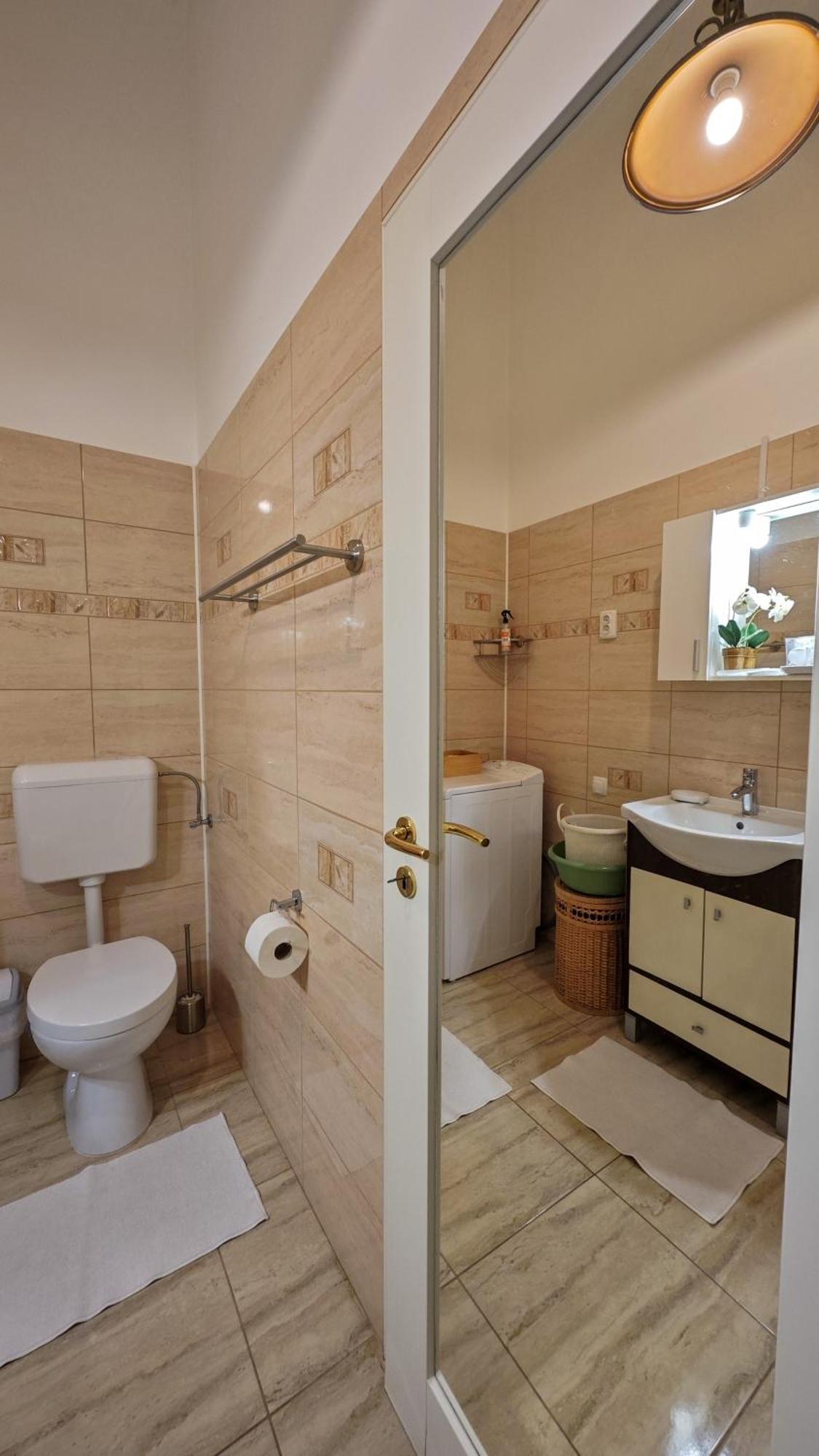 Neuhausz Residenz Ultra-Central Apartment Timisoara Luaran gambar